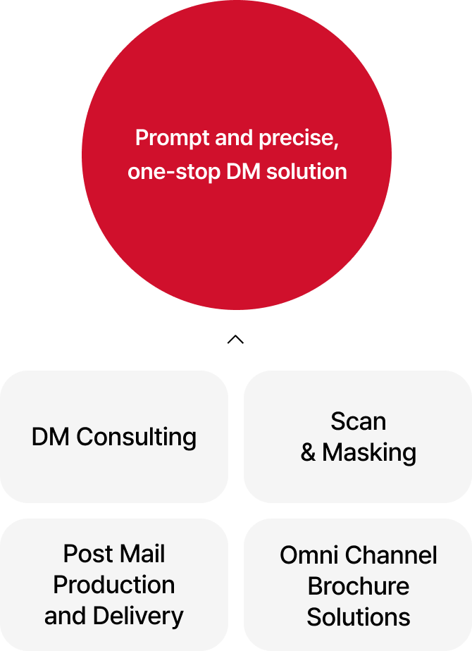 Prompt and precise, one-stop DM solution 01 DM Consulting 02 Scan & Masking 03 Post Mail Production and Delivery 04 Omni Channel Brochure Solutions